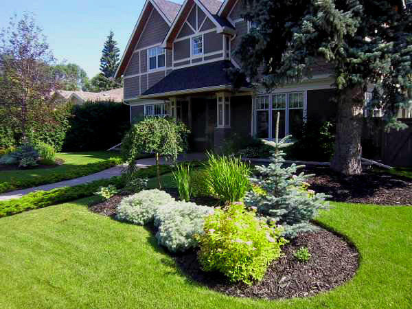 dream front yards