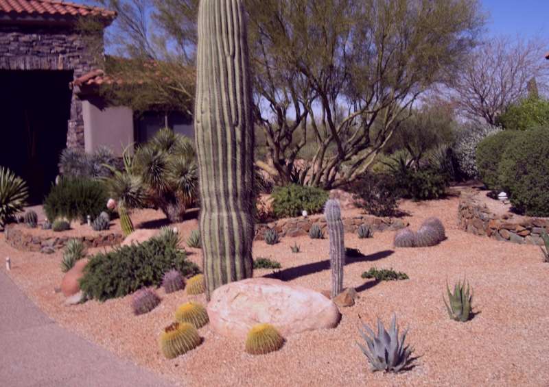 Couvers: Knowing Backyard landscape ideas in arizona