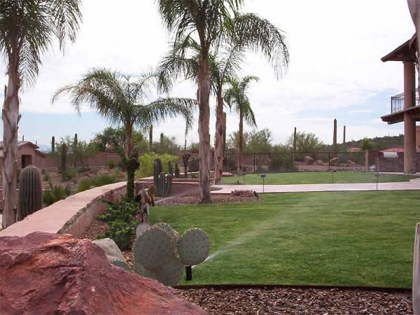 A large residential desert region backyard with an irrigation system for the lawn. 