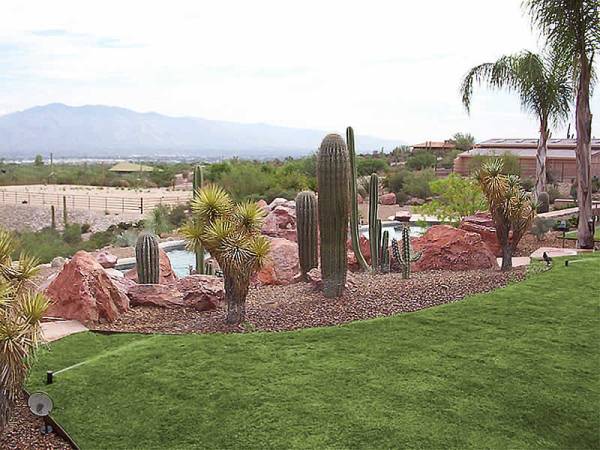 This desert backyard has added irrigation to provide the needed water for the turf.